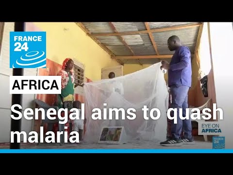 Senegal aims to quash malaria • FRANCE 24 English [Video]