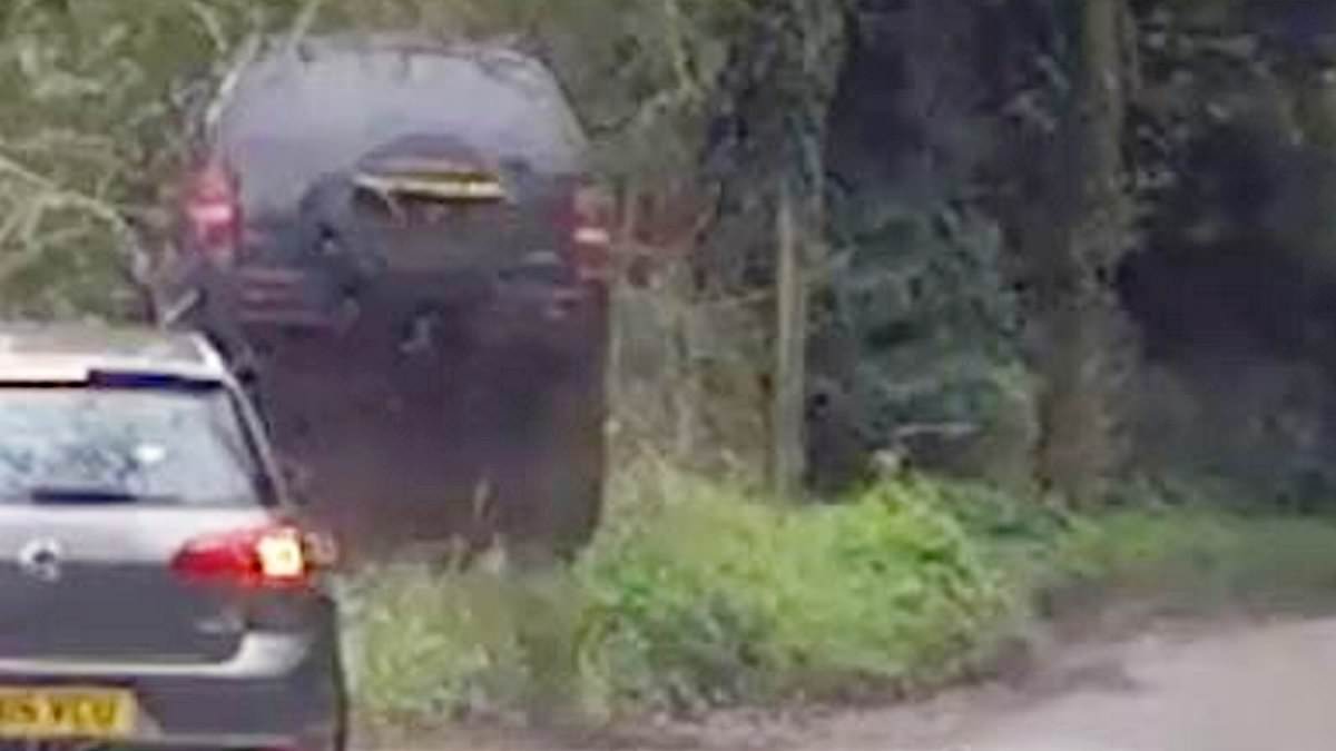 Shocking moment out of control driver ploughs into a hedge after police chase through country villages [Video]