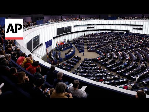 Voters will elect members of European Parliament in June | AP Explains [Video]