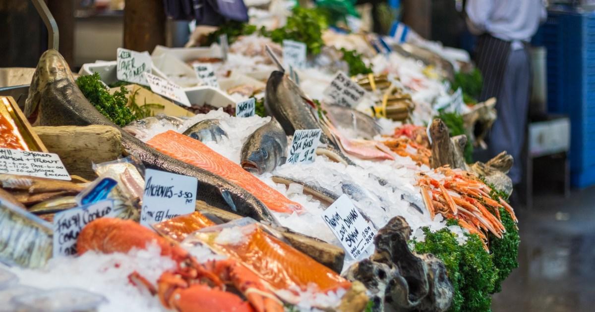 Warning to seafood lovers as major problem could be ‘underestimated’ | Tech News [Video]