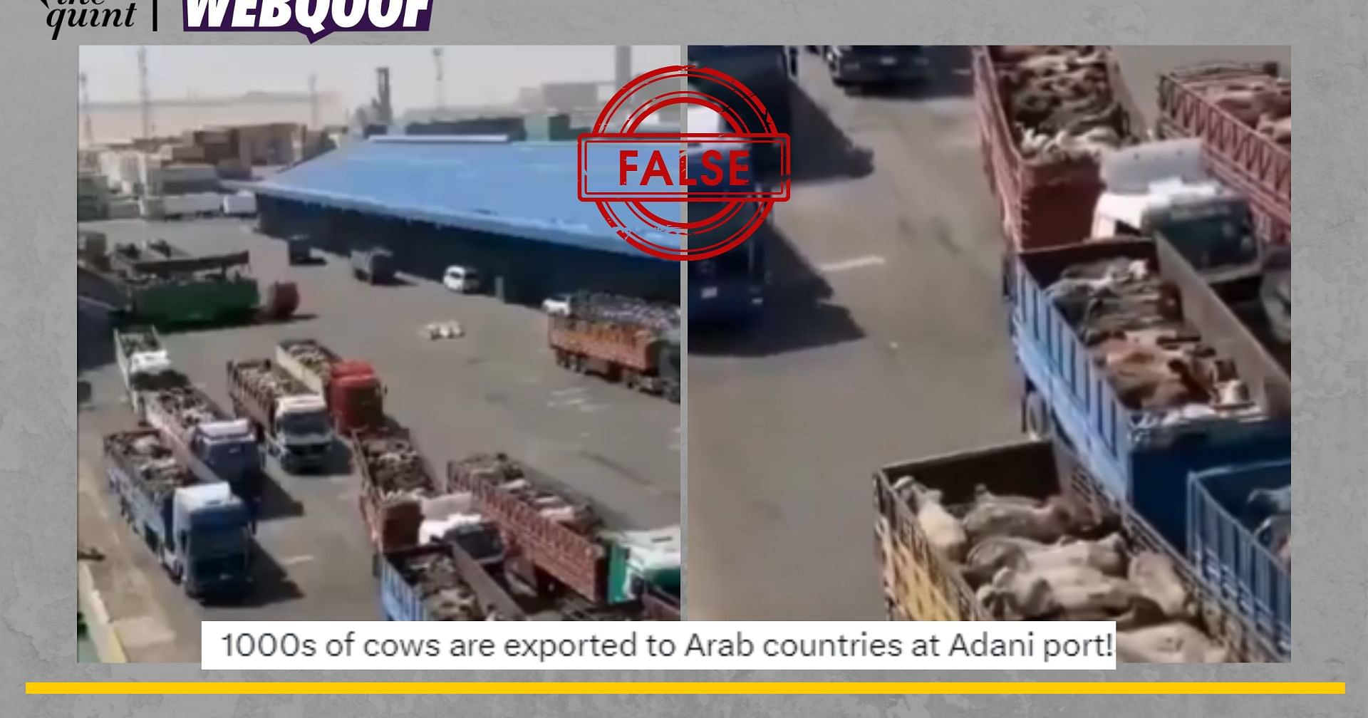 Check | Does This Clip Show Cows Being Exported From Adani Port in Gujarat? A Fact-Check [Video]