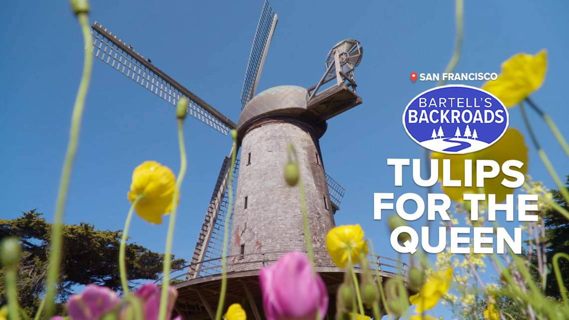 San Francisco’s Dutch windmill helped turn dunes into tulip gardens | Bartell’s Backroads [Video]
