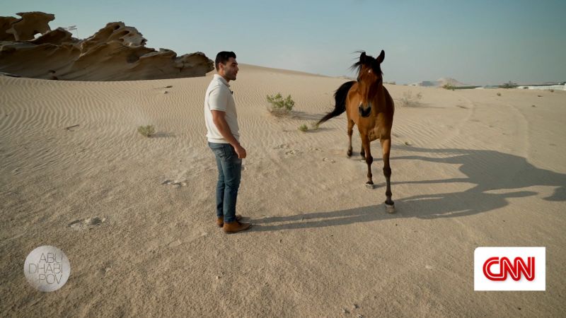 Coastal life and ranches: A different side to Abu Dhabi [Video]