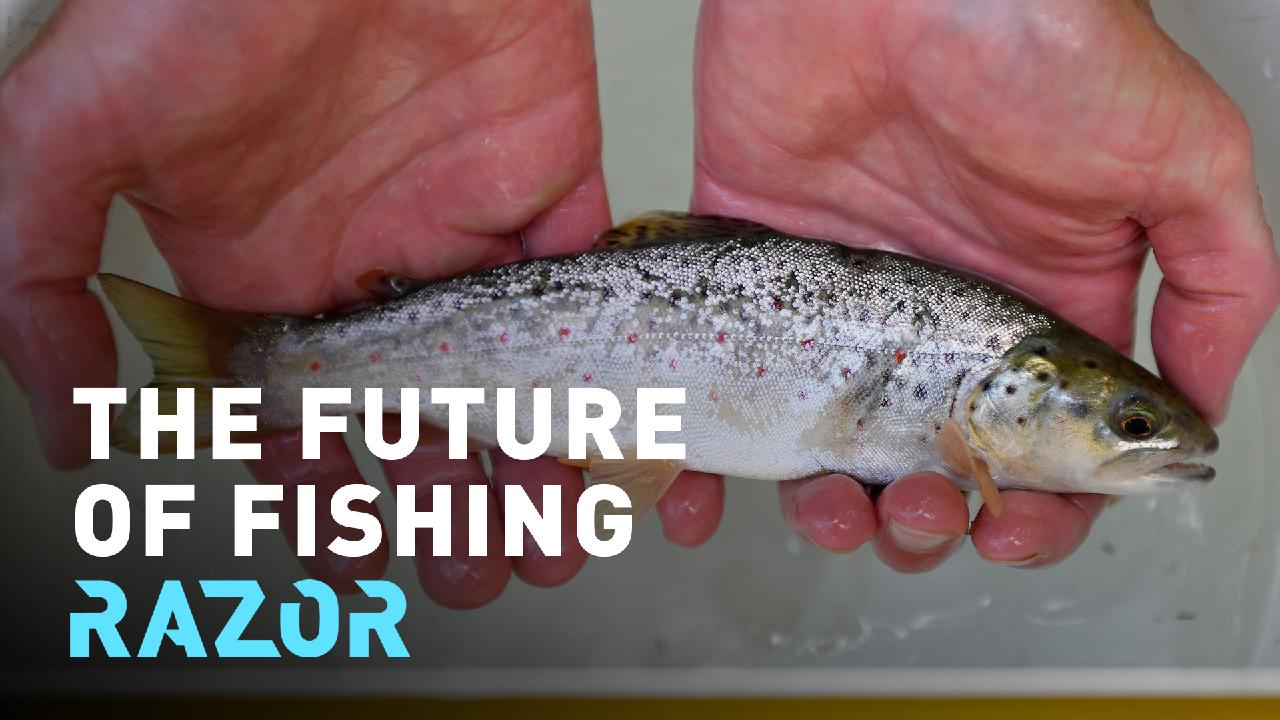 RAZOR: How farming fish on land could help feed the world [Video]