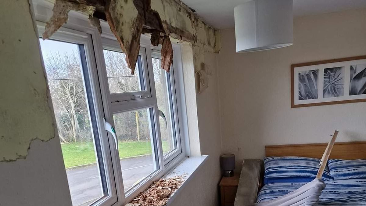 Britain’s shameful military housing: Damp, mouldy homes riddled with pests, shoddy gas and electrical fittings are a ‘tax on the goodwill’ of the UK’s armed forces heroes and their families, landmark review finds [Video]