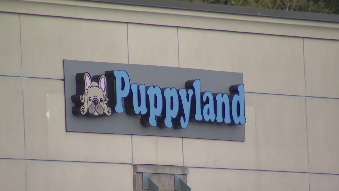 Thieves caught on camera stealing puppies from Puyallup pet store [Video]