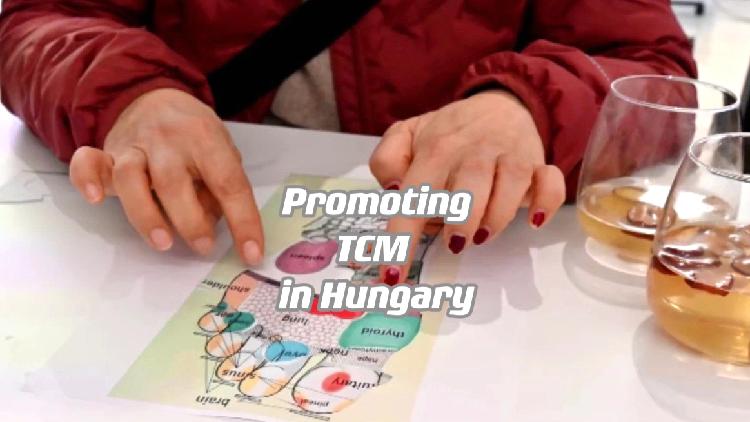 TCM tango: China-Hungary cultural exchanges [Video]