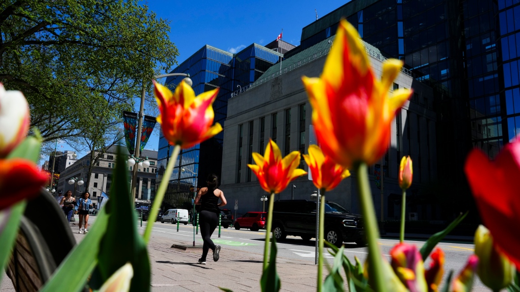 Tulips in Ottawa: 6 places to see blooming tulips this spring [Video]