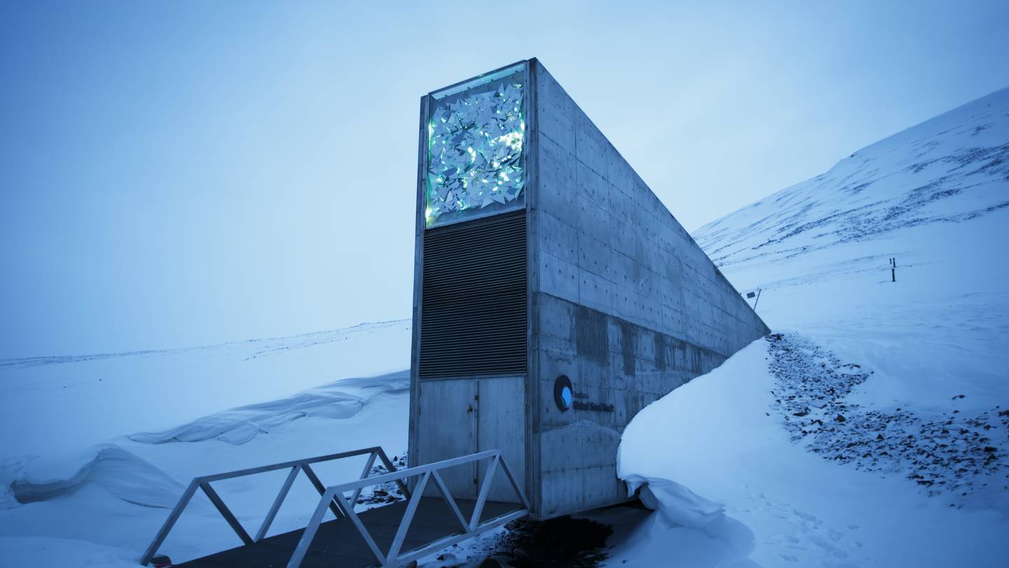 Men behind the doomsday seed vault in the Arctic win World Food Prize  WFTV [Video]