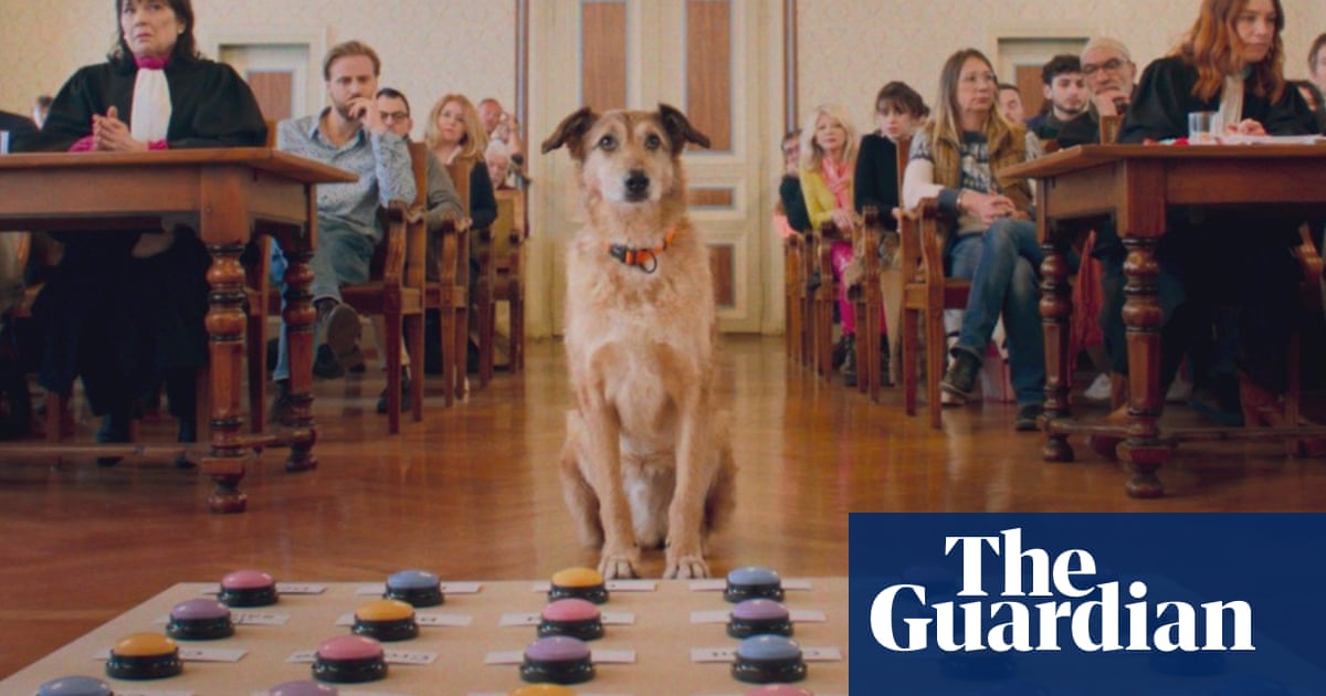 A dog in the dock and another doing red carpet interviews: why has Cannes gone canine crazy? | Cannes 2024 [Video]
