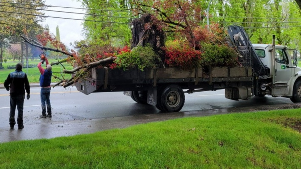 Unsecured load of ‘large trees’ prompts warning [Video]