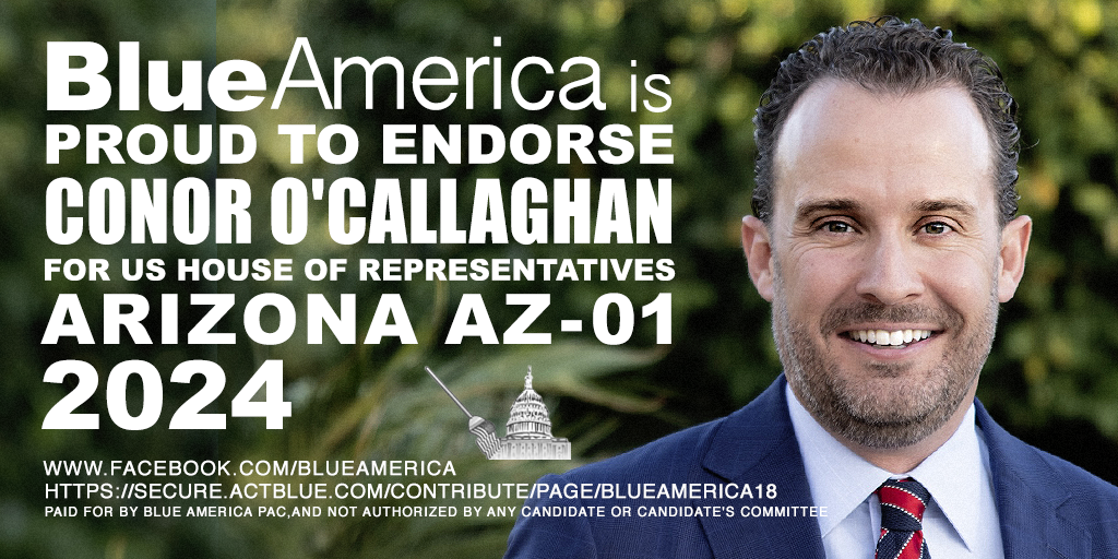 AZ-01, One Of The Keys To Flipping Congress [Video]
