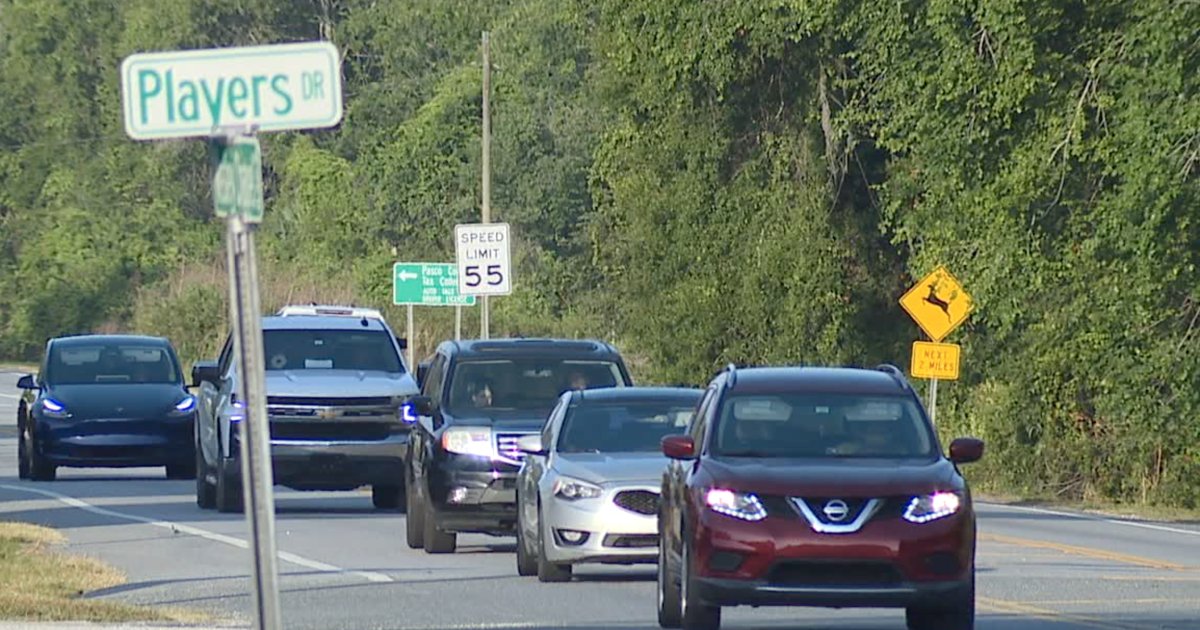 Neighbors along Wesley Chapel Blvd fear for their safety with traffic issues [Video]
