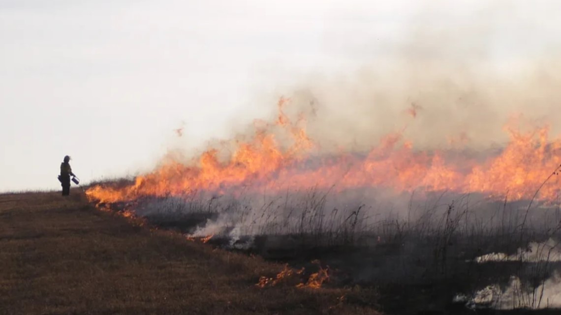 Missouri’s environment needs fire; why prescribed burns help [Video]