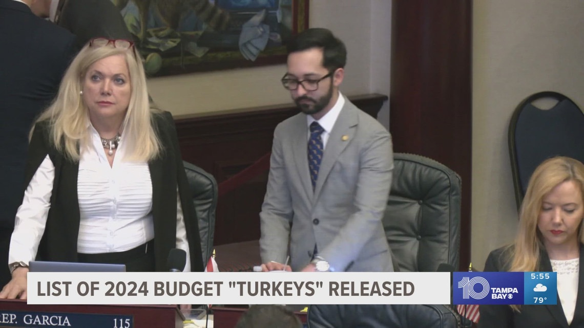 Tax watchdog: Some projects in state budget are ‘turkeys’ and will serve limited areas [Video]