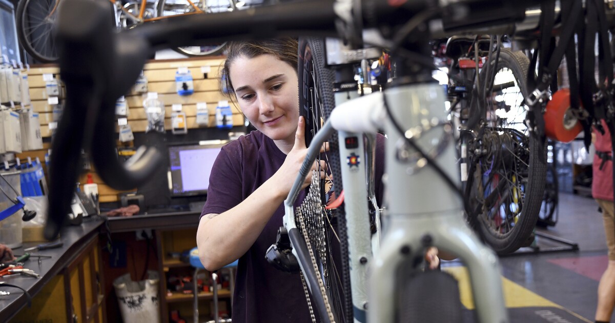 Bike shops saw a pandemic boom, but its been a bumpy ride for most ever since [Video]