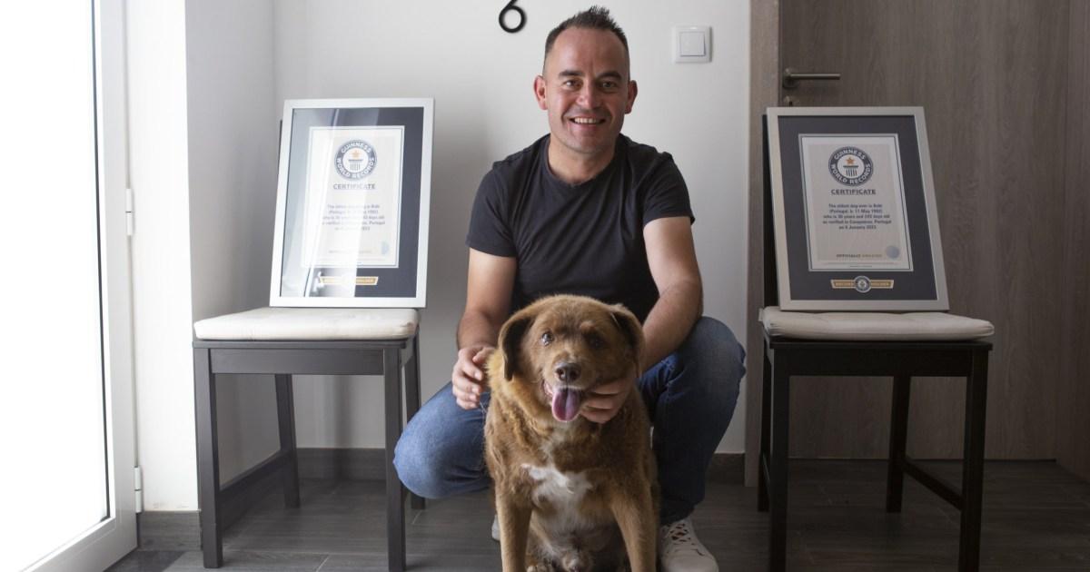Owner of one-time oldest dog in history ‘sues Guinness World Records’ | World News [Video]