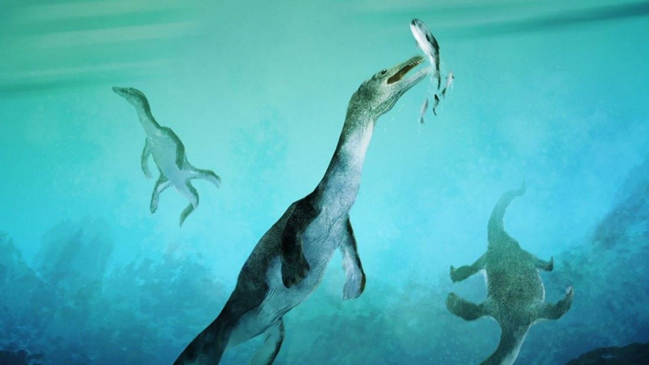 Fossil of ancient sea reptile is oldest found in Southern Hemisphere [Video]