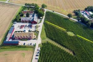 Sweden seeks to be winemakings next frontier [Video]
