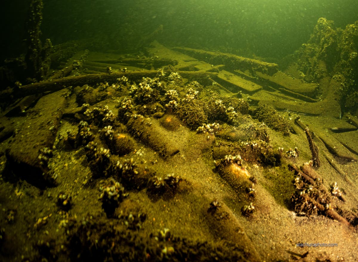 One hundred unopened bottles of champagne found inside 19th century shipwreck [Video]