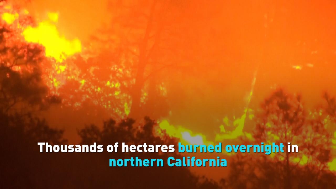 Thousands of hectares burned overnight in northern California [Video]