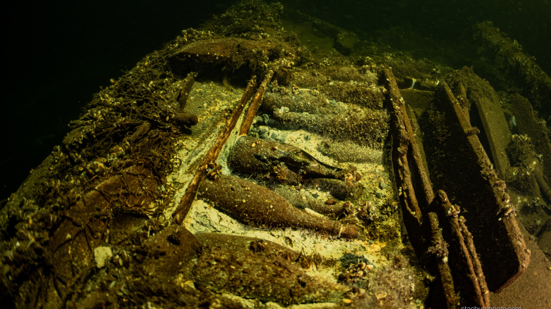 Divers discover eerie shipwreck with hundreds of champagne bottles onboard after mysteriously vanishing 171 years ago [Video]